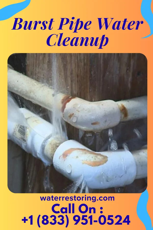 Burst Pipe Water Cleanup in New Houlka, MS