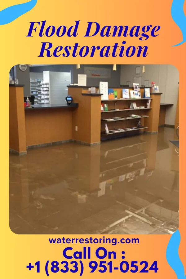 Flood Damage Restoration in New Houlka, MS