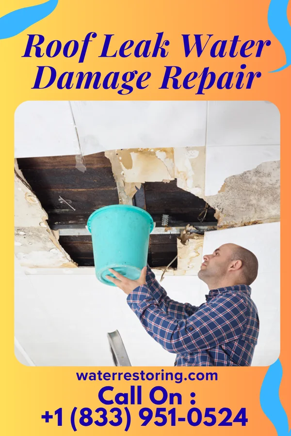Roof Leak Water Damage Repair in New Houlka, MS